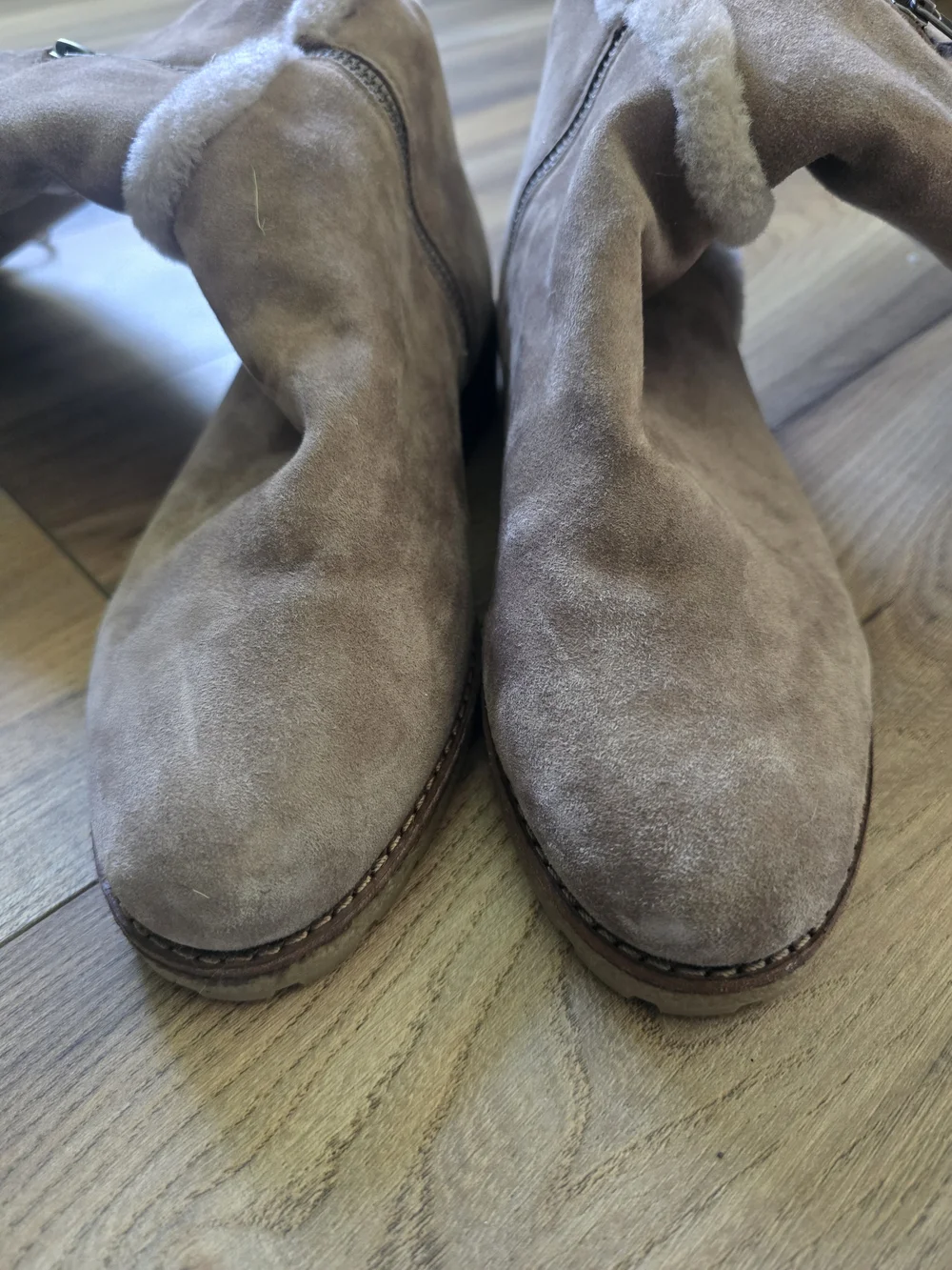 Frye Suede Riding Boots in Taupe Size 7